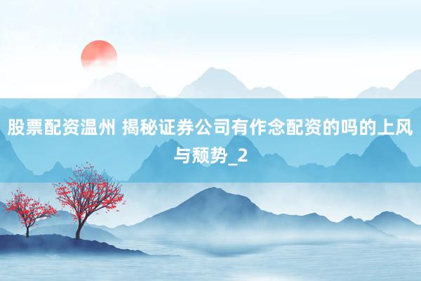 股票配资温州 揭秘证券公司有作念配资的吗的上风与颓势_2